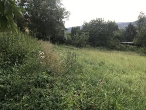 Pozemek v obci Hradčany
